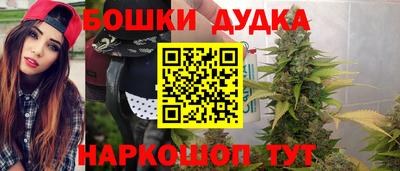 spice Славгород