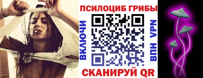 Галлюциногенные грибы Psilocybine cubensis цена наркотик Саянск