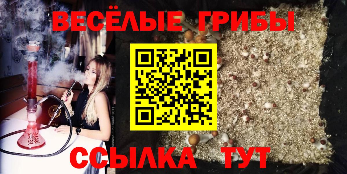 Псилоцибиновые грибы ЛСД Саянск