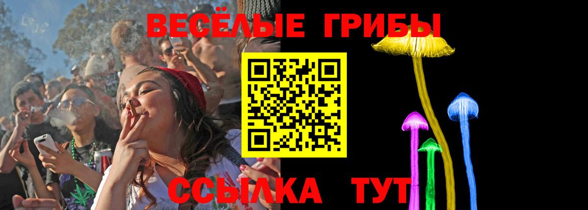 Псилоцибиновые грибы Magic Shrooms  Вход с VPN  Саянск  Псилоцибиновые грибы Psilocybe 